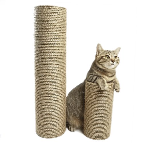 Cat Scratching Post